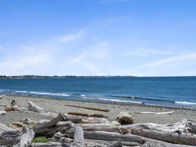 View 32