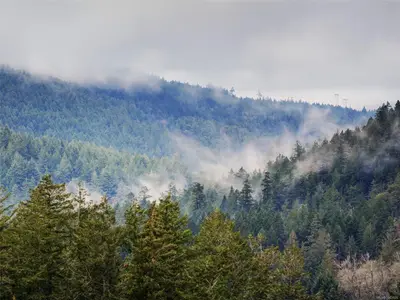 View 21