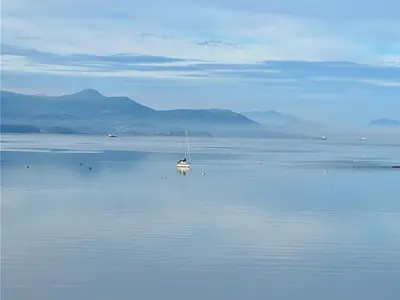 View 7
