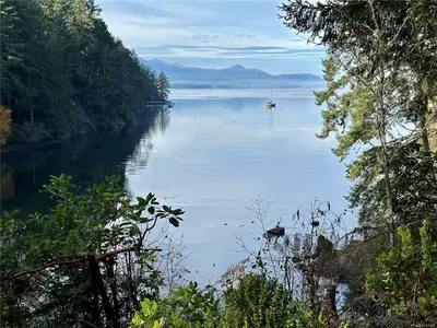 View 45
