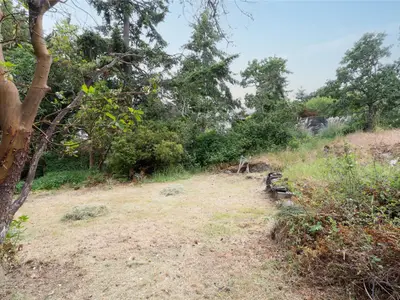 View 12