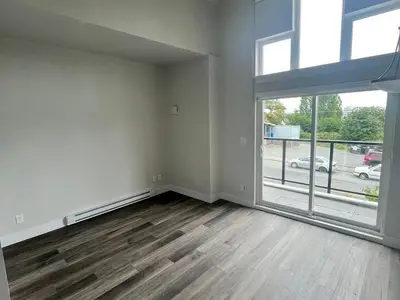 View 15