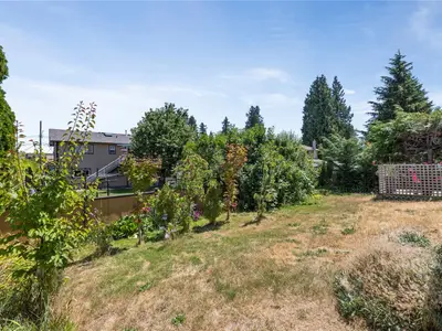 View 15
