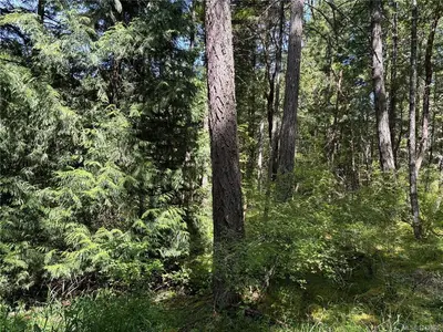 View 6