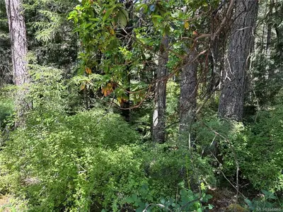 View 4