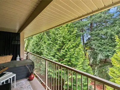 View 21