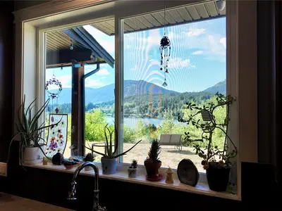 View 38