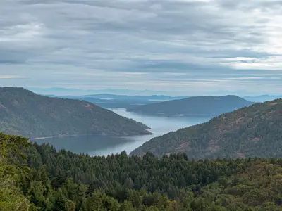 View 38