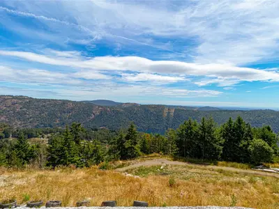View 49