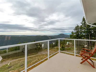 View 41