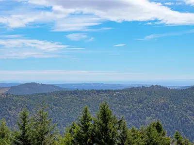 View 50