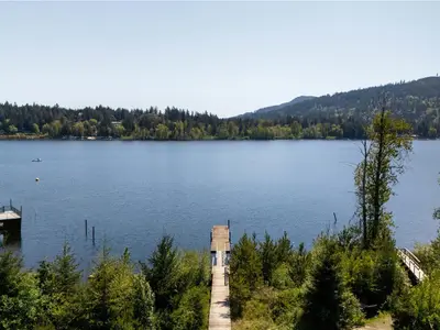 View 39