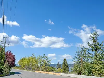 View 89