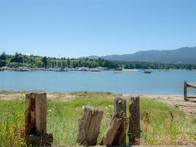 View 36