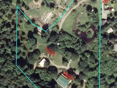 View 49