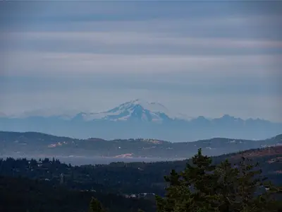 View 88