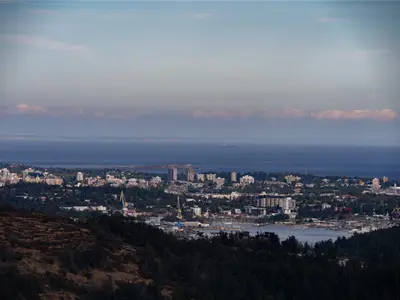 View 89