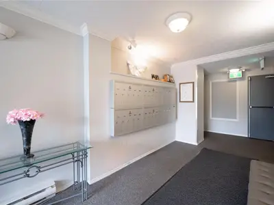 View 24