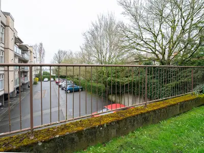 View 25