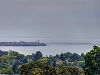 View 21