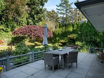 View 41