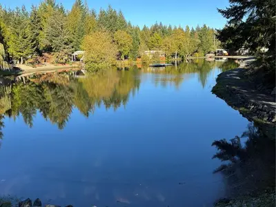 View 1