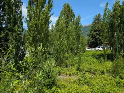 View 6