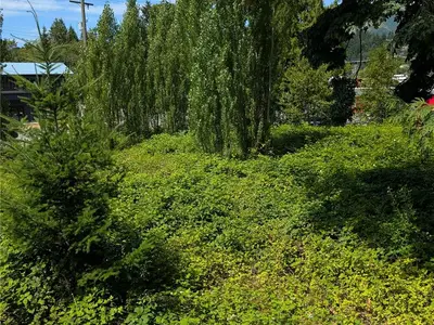View 12