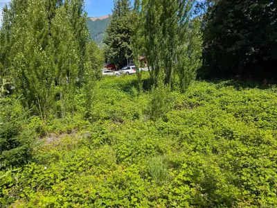 View 1