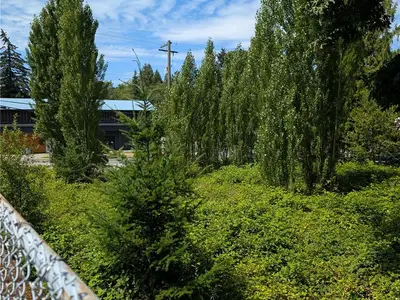 View 10