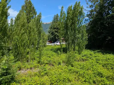 View 8