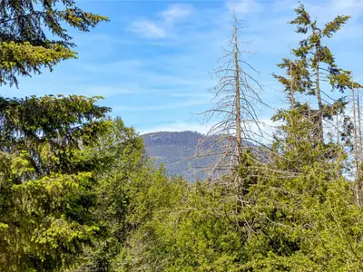 View 67
