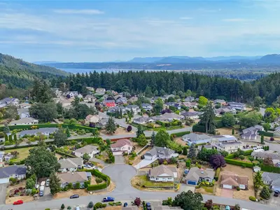 View 39