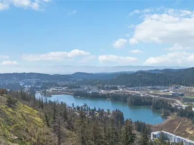 View 51