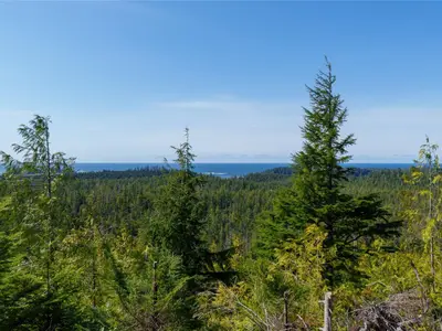 View 3