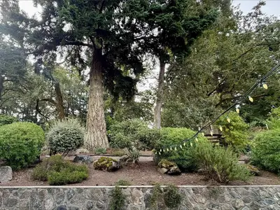 View 35