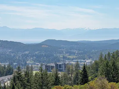 View 15