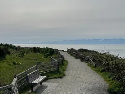 View 32