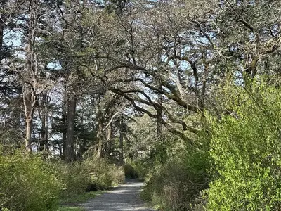 View 38