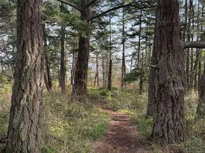 View 37