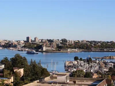 View 19