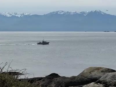 View 31