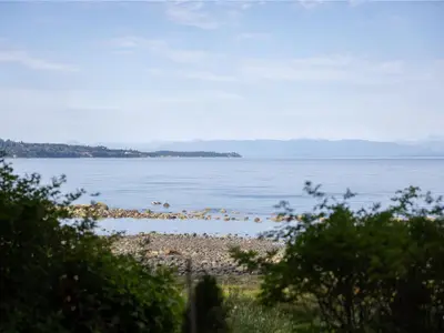 View 38