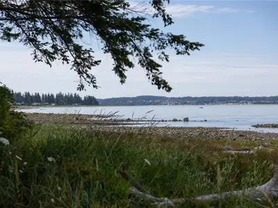 View 39