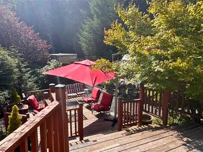 View 62