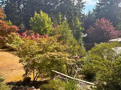View 79