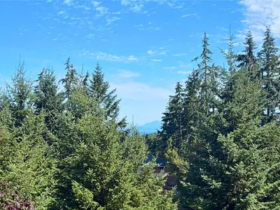 View 25