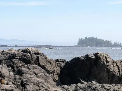 View 66
