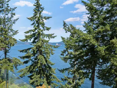View 29