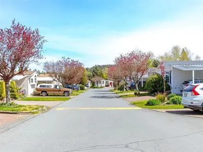View 33